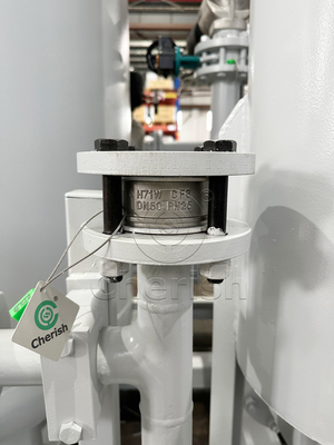 Stahldruckschwingendadsorption PSA Stickstoffgenerator